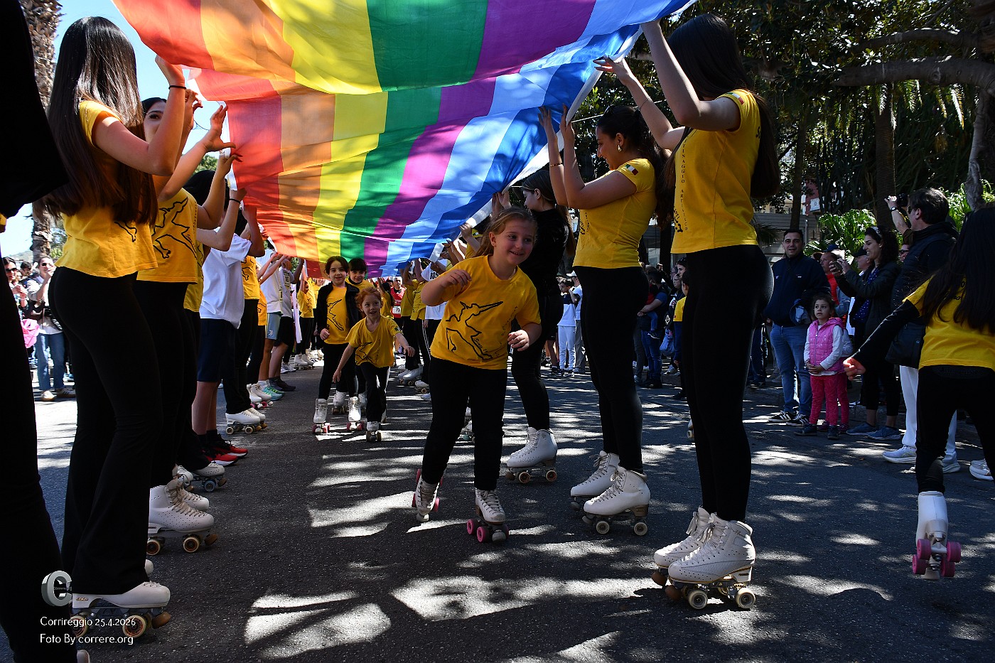DSC_6431